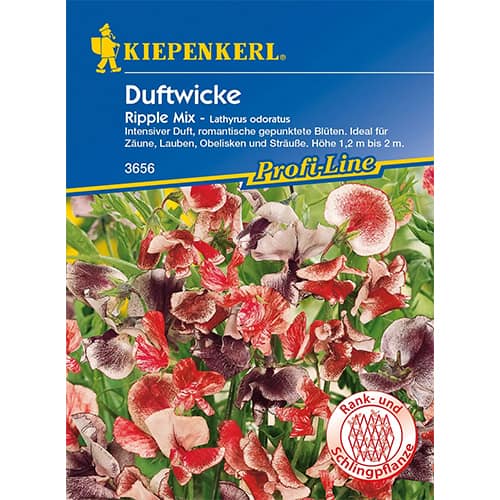 1 szt, Duftwicke Ripple Mix - Samen: Ilość w opakowaniu: 1 Stück