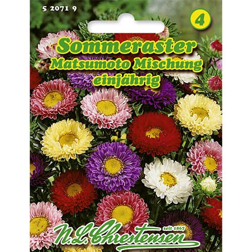 1 szt, Sommeraster Matsumoto Mischung - Samen: Ilość w opakowaniu: 1 Stück