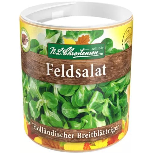 1 szt, Feldsalat Holländisch Breitblättrig - Samen: Ilość w opakowaniu: 1 Stück