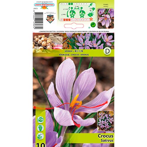 Crocus Sativus - Bulbos: Ilość w opakowaniu: 10 bulbos