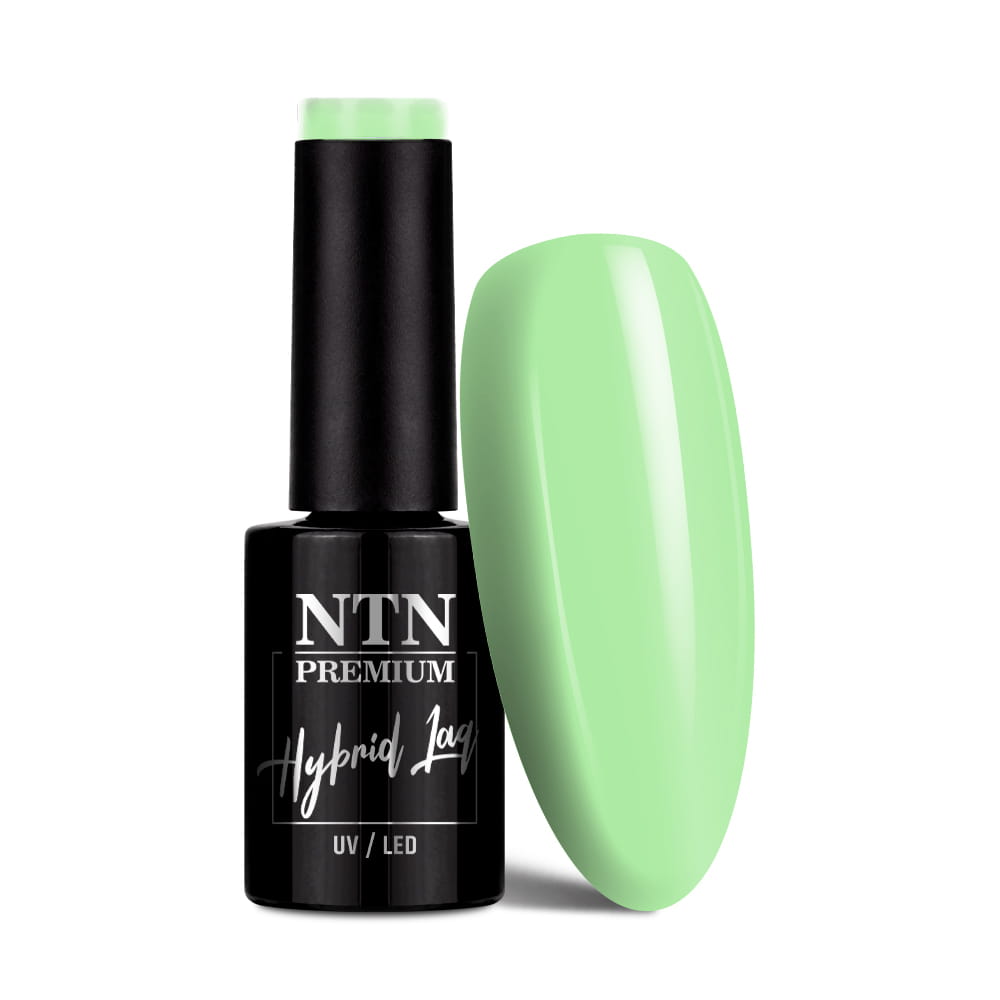 Lakier hybrydowy Ntn Premium Garden Party Collection 5 g Nr 179