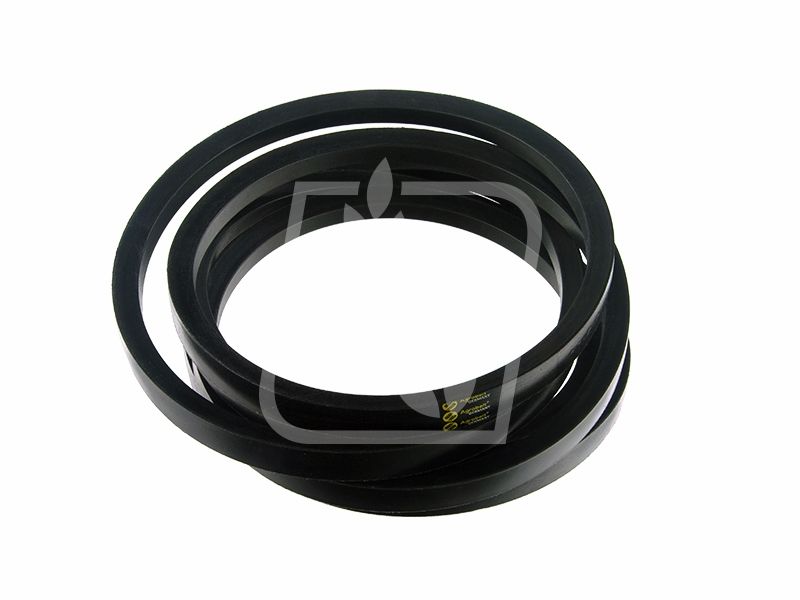 Pas 1615254M1 22 x 4114