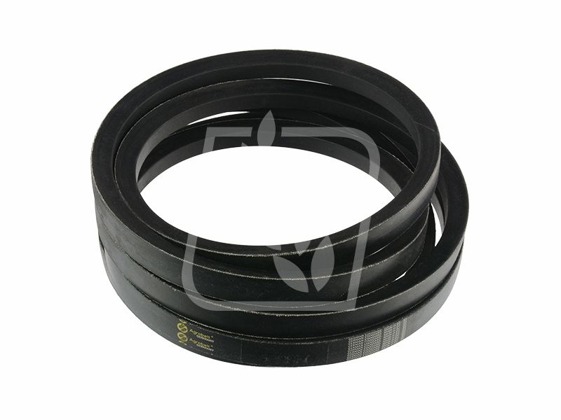 Pas 629836 Claas 22 x 3984 Agro-Belt