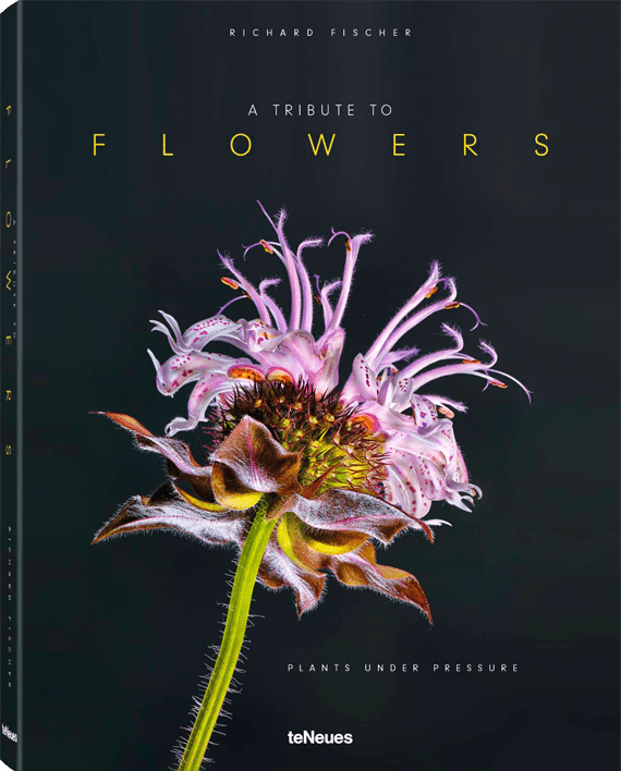 A Tribute to FLOWERS. Plants under Pressure