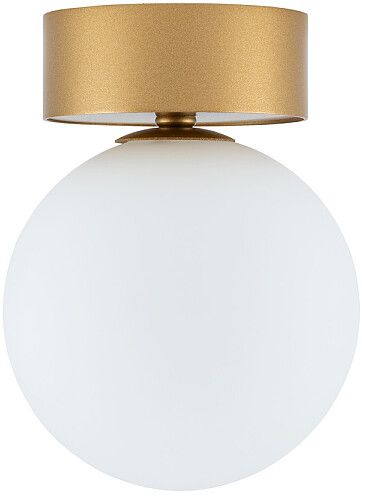 Darmowa Dostawa - Plafon 1x12 W biały-złoty Nowodvorski Lighting Kier 10623