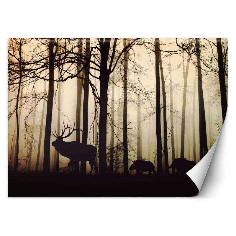 Fototapeta Feeby Zwierzęta w lesie 200x140 1 szt