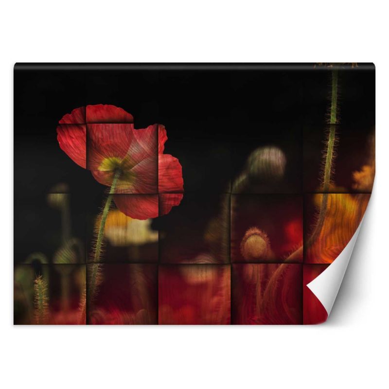 Fototapeta Feeby Czerwone maki kwiaty 250x175 1 szt