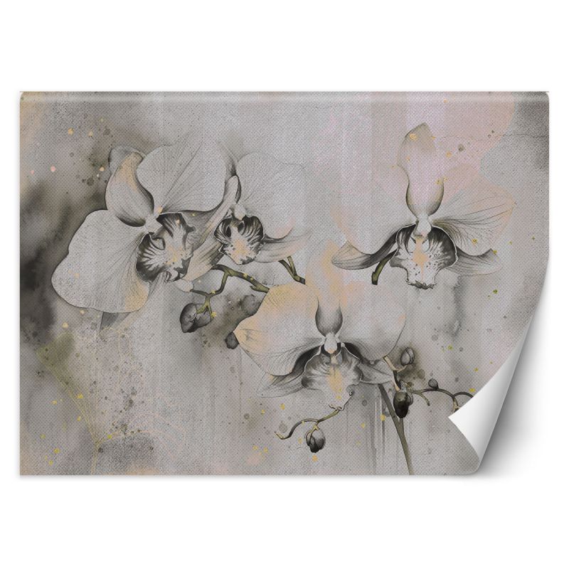 Fototapeta Feeby Kwitnące orchidee abstrakcja 300x210 1 szt