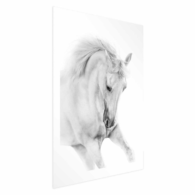 Plakat Artgeist Biały koń 29,7x42 cm bez ramy 1 szt
