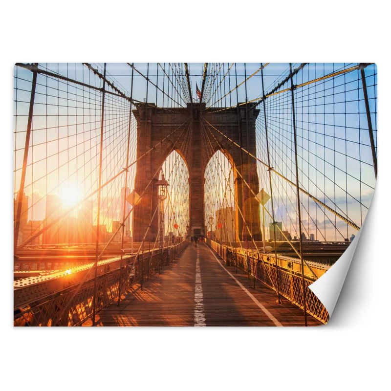Fototapeta Feeby Most Brookliński 250x175 1 szt