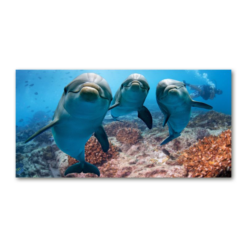 Obraz canvas Tulup Delfiny 125x50 cm 1 szt.
