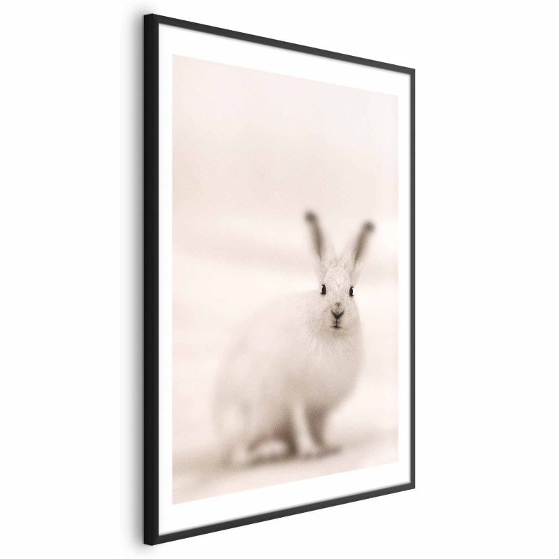 Plakat Artgeist Strachliwe spojrzenie 21x30 cm z ramą czarną 1 szt