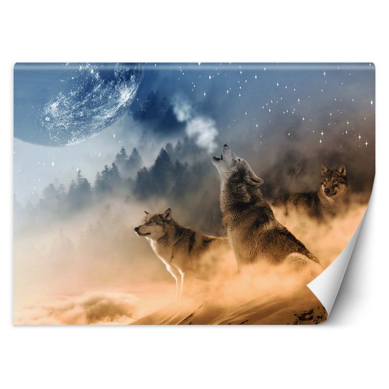 Fototapeta Feeby Wilki las we mgle 450x315 1 szt