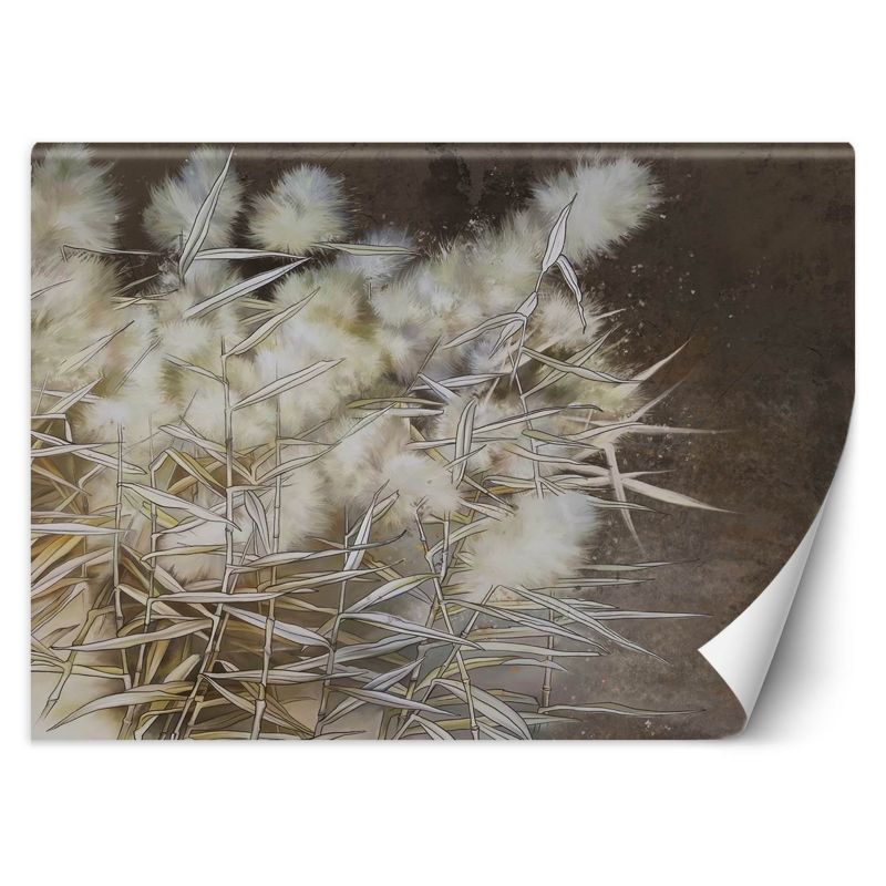 Fototapeta Feeby Trawa pampasowa boho 200x140 1 szt