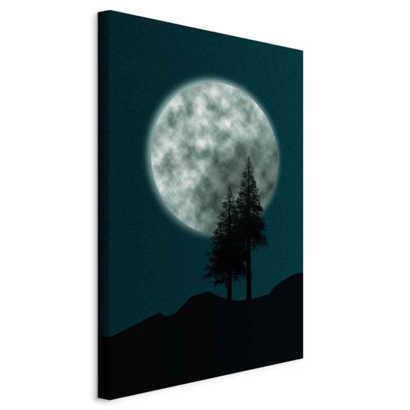 Obraz Artgeist Pełnia księżyca 20 x 30 cm flizelina 1 szt
