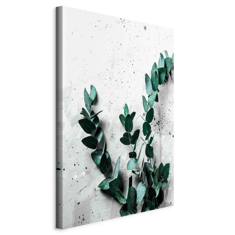 Obraz Artgeist Eukaliptusowy zapach 80 x 120 cm flizelina 1 szt
