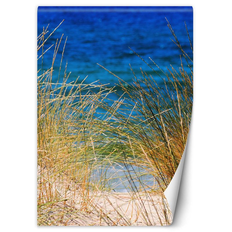 Fototapeta Feeby Wysokie trawy nad morzem 200x280 1 szt