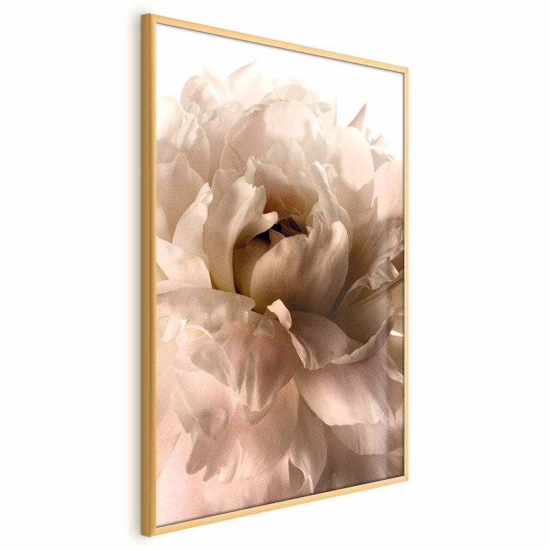 Plakat Artgeist Miękkie płatki 29,7x42 cm z ramą złotą 1 szt