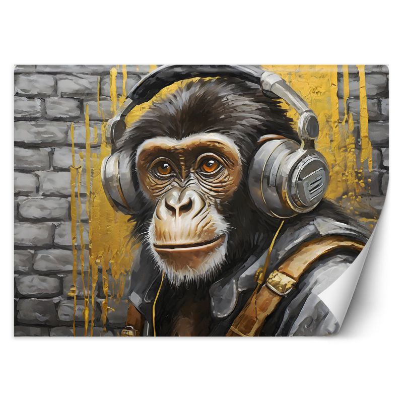Fototapeta Feeby Małpa Muzyka Zwierzęta 150x105 1 szt