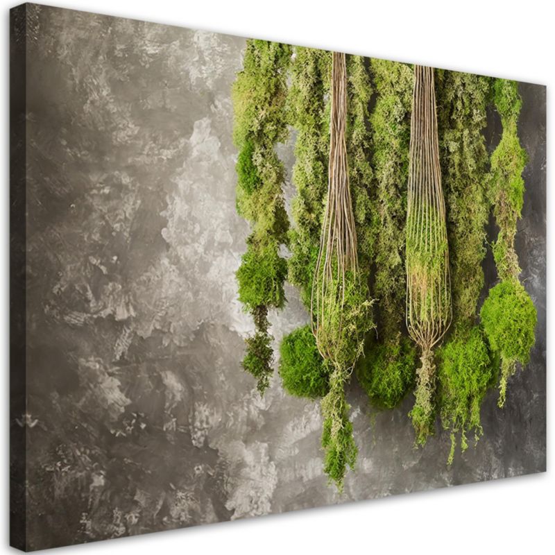 Obraz dekoracja do salonu Feeby Mech Roślina Natura Zielony 60x40 cm 1szt