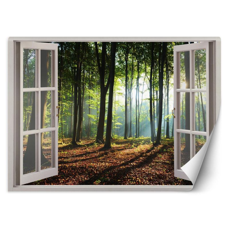 Fototapeta Feeby Okno las drzewa natura 210x150 1 szt