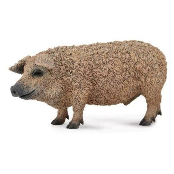 ŚWINIA MANGALICA L
