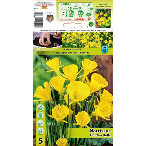 5 szt., Narcyz Golden Bells - Cebule: Ilość w opakowaniu: 5 szt.