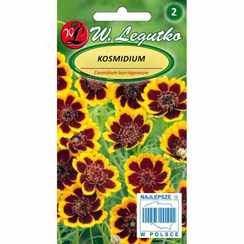 1 szt, Kosmidium żółto-brązowe Legutko - Nasiona: Ilość w opakowaniu: 0.3 g