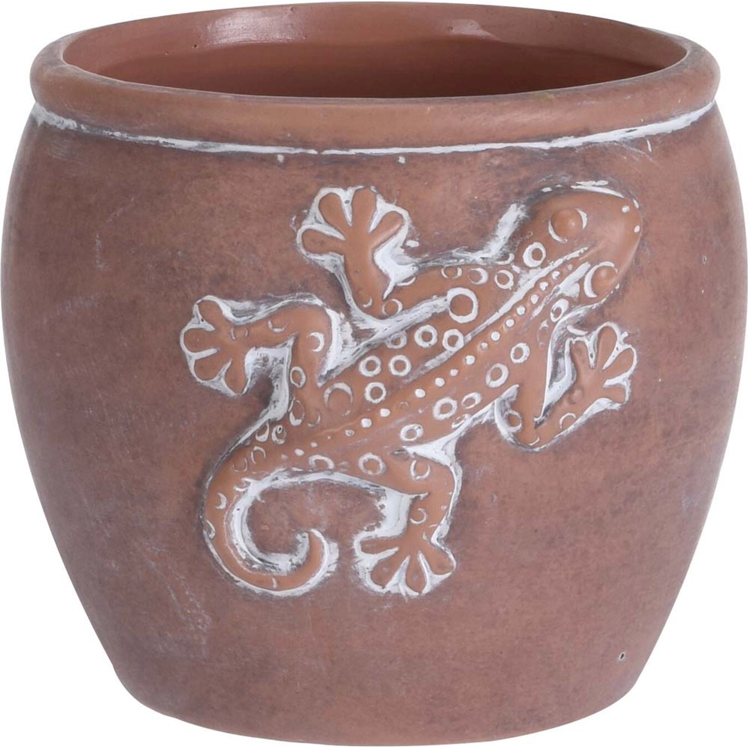 Osłonka Gekon brązowa - 12,5 x 11 cm