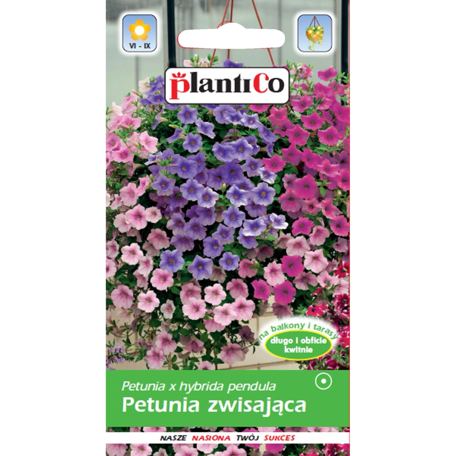 Petunia zwisająca 0,05g mix