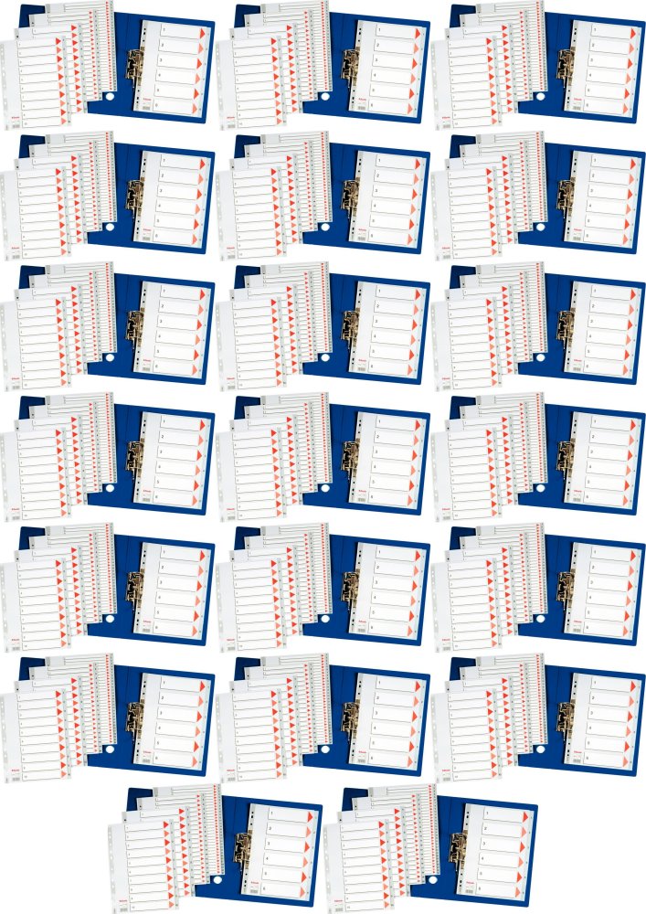 20x Przekładki do segregatora Esselte, plastikowe, numeryczne, A4, 1-6 kart, szary