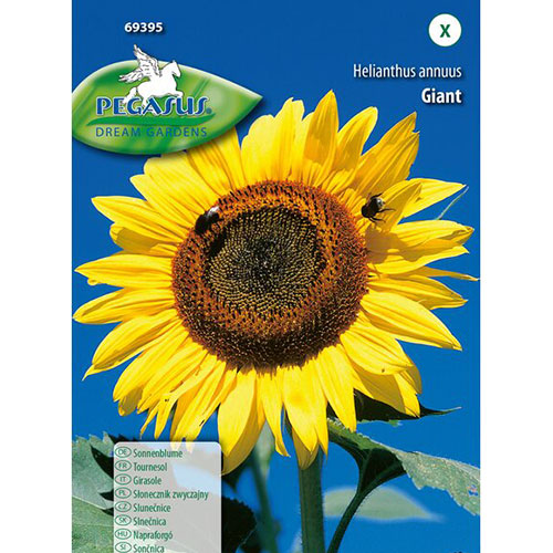 1 pac, Floarea soarelui decorativă Giant, mix multicolor - Semințe: Mod de ambalare: 1 pac
