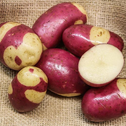 1 kg, Cartofi de sămânță Pink Gipsy - Tuberculi: Mod de ambalare: 1 kg