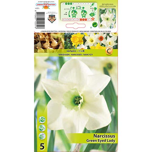 5 buc, Narcise Green Eyed Lady - Bulbi: Mod de ambalare: 5 buc