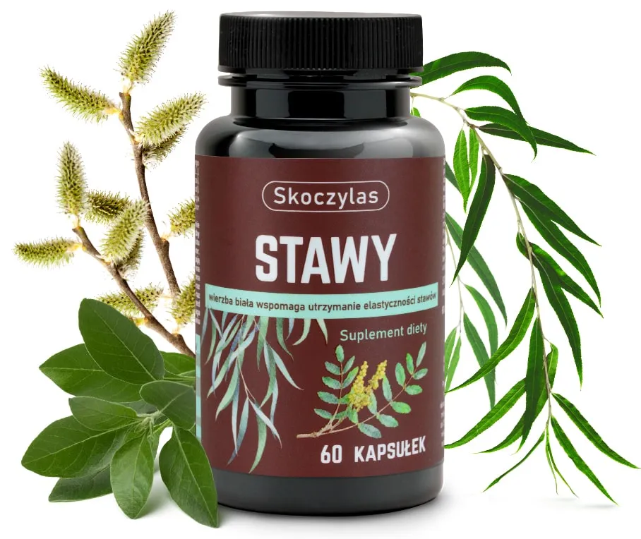 Stawy 60kaps. Skoczylas