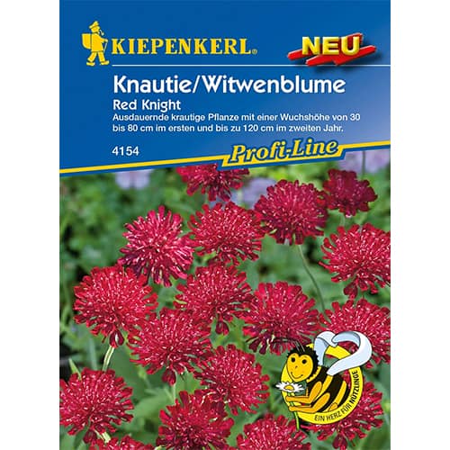 1 ob, Chrastavec makedonský (Knautia) Red Knight - : Monžstvo balíkov: 1 ob