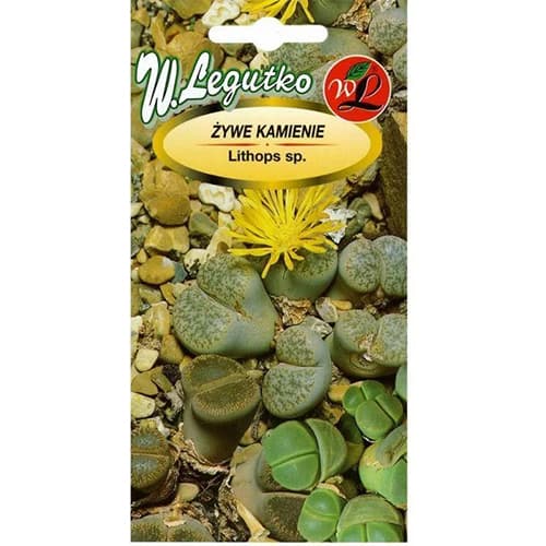 1 szt, Lithops, színkeverék - Magok: Mod de ambalare: 50 db