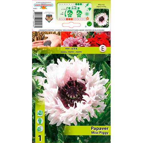 1 db, Kerti mák (Papaver) Miss Piggy Ruffles - Évelő: Mod de ambalare: 1 db