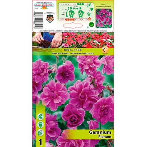 1 db, Gólyaorr (Geranium) Plenum - Évelő: Mod de ambalare: 1 db
