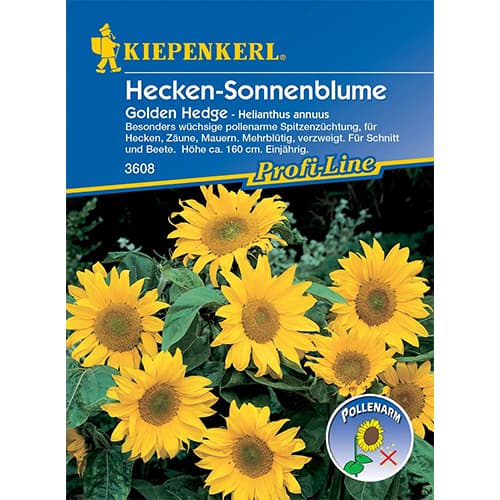 1 szt, Sonnenblume Golden Hedge - Samen: Ilość w opakowaniu: 1 Stück
