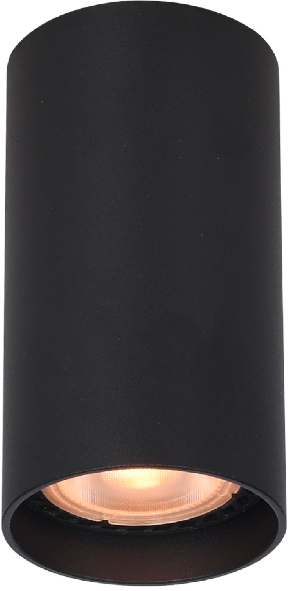 Italux Lopus lampa podsufitowa 1x10 W czarna CLN-48930-S-BK