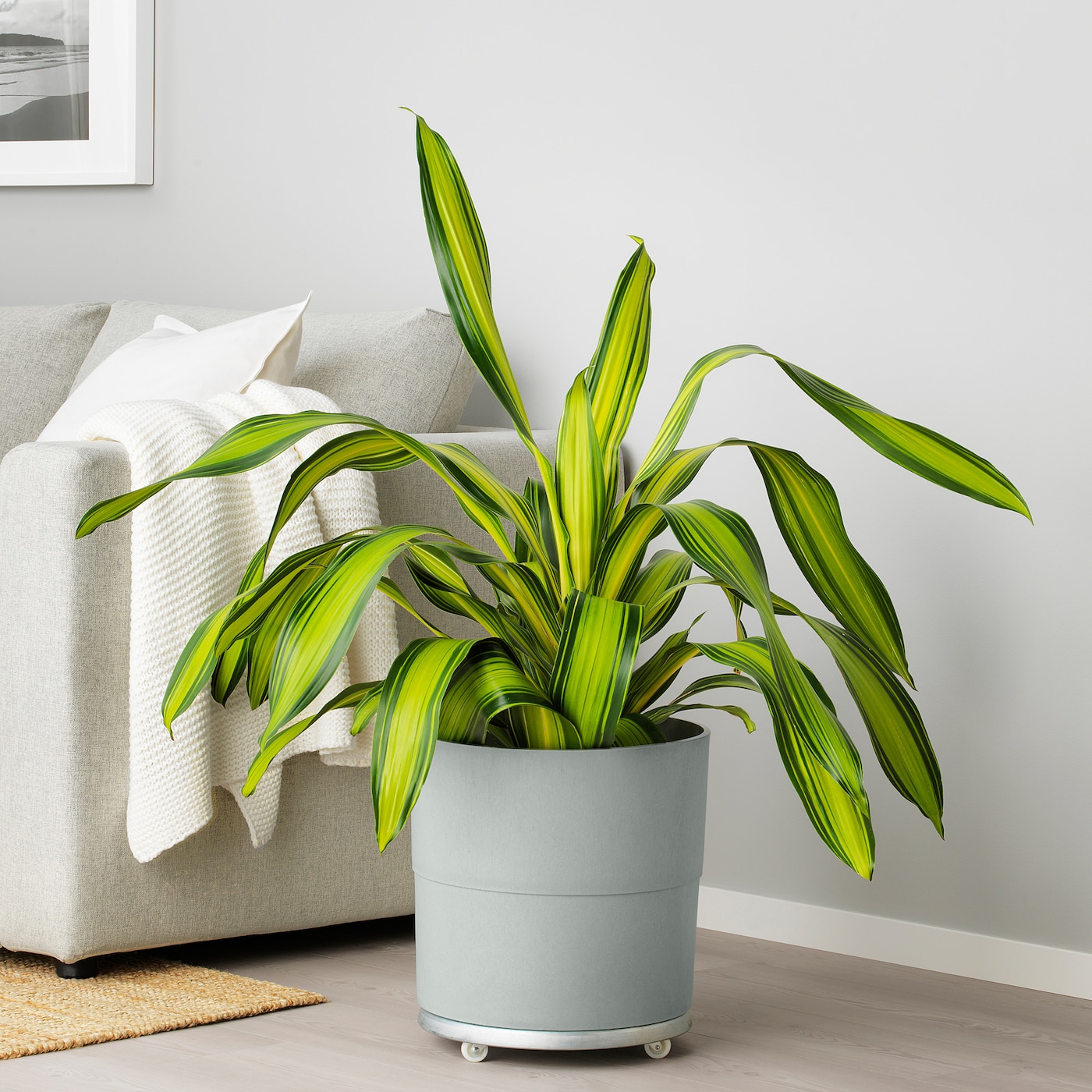 IKEA NYPON Osłonka doniczki, do wewnątrz/na zewnątrz szary, 32 cm