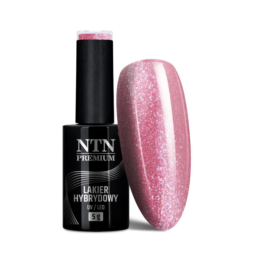 Lakier hybrydowy Ntn Day Dreaming Collection 5 g Nr 55