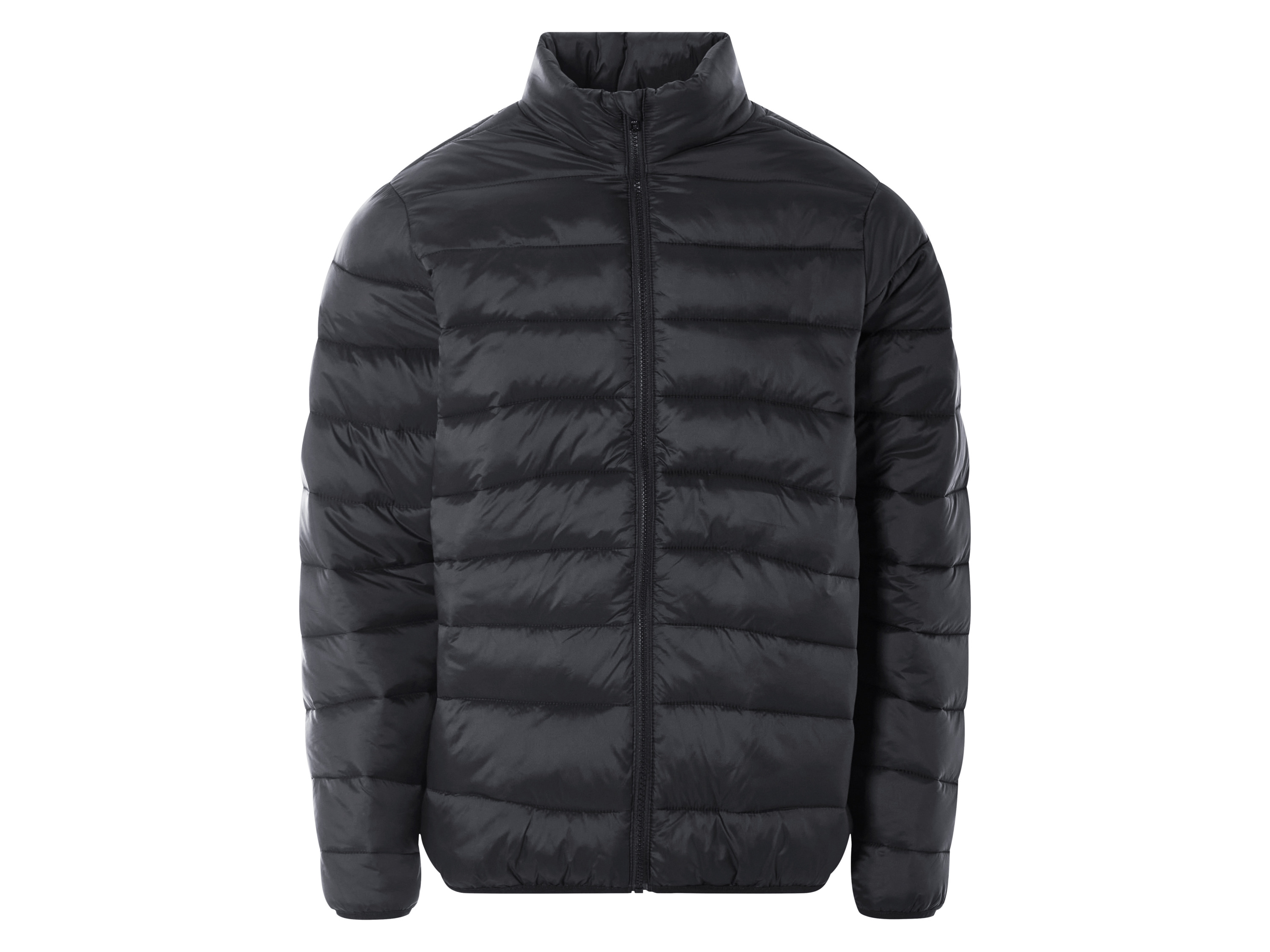 Livergy Kurtka męska pikowana Czarny, XL 56/58