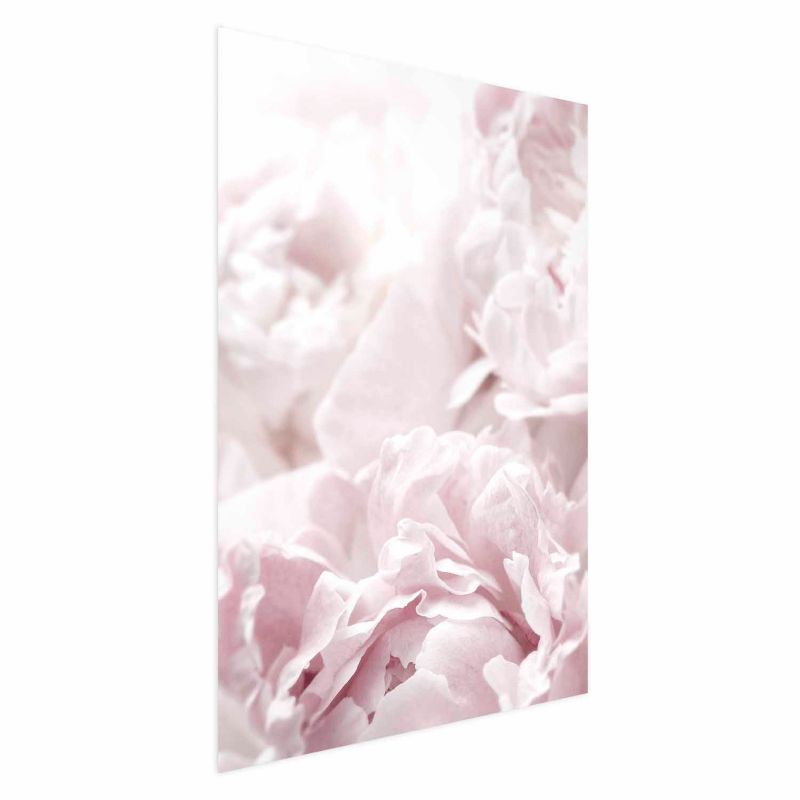 Plakat Artgeist Puszyste peonie 21x30 cm bez ramy 1 szt