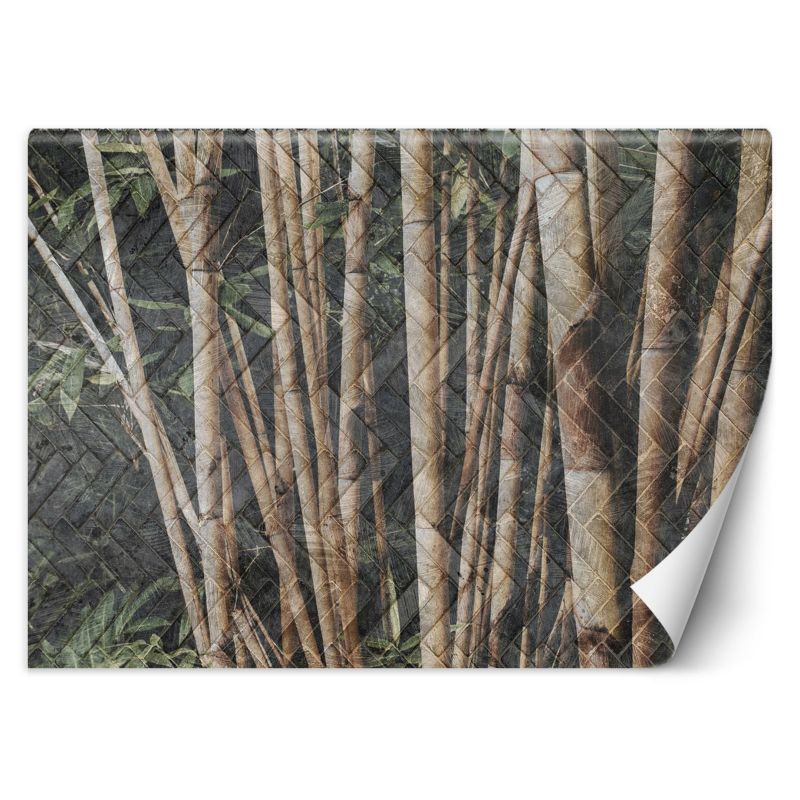 Fototapeta Feeby Bambusowy las 250x175 1 szt