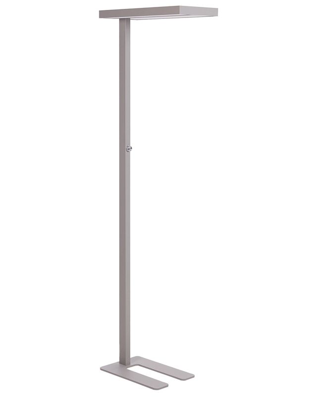 Lampa podłogowa Taurus Metal Srebrny 1 szt.