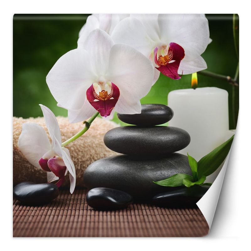 Fototapeta Feeby Orchidea świeczka i kamienie zen w SPA 200x200 1 szt
