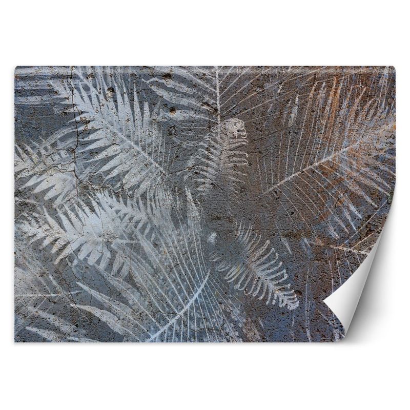 Fototapeta Feeby Liście palmy na betonie 150x105 1 szt