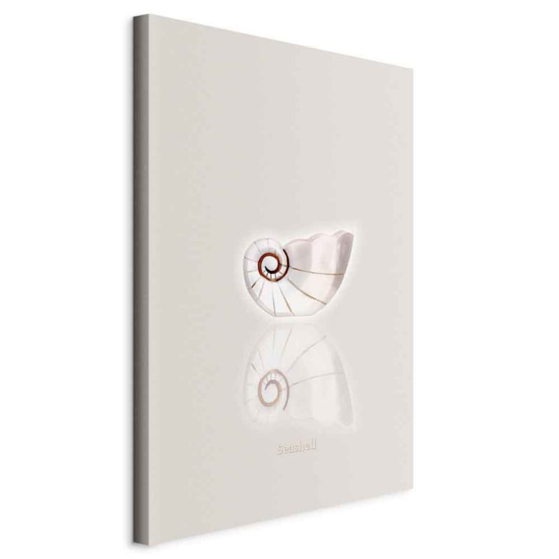 Obraz Artgeist Ceramiczna muszla 60 x 90 cm płótno włoskie 1 szt